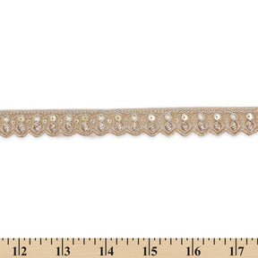 3/4 Inch Ornamental Sequined Metallic Cording With Embroidery On Mesh Trim