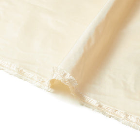 Silk Taffeta (54 inch) Fabric SV577545 Beige Image A3