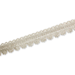 1 Inch Floral Striped Corded Sequin Mesh Trim