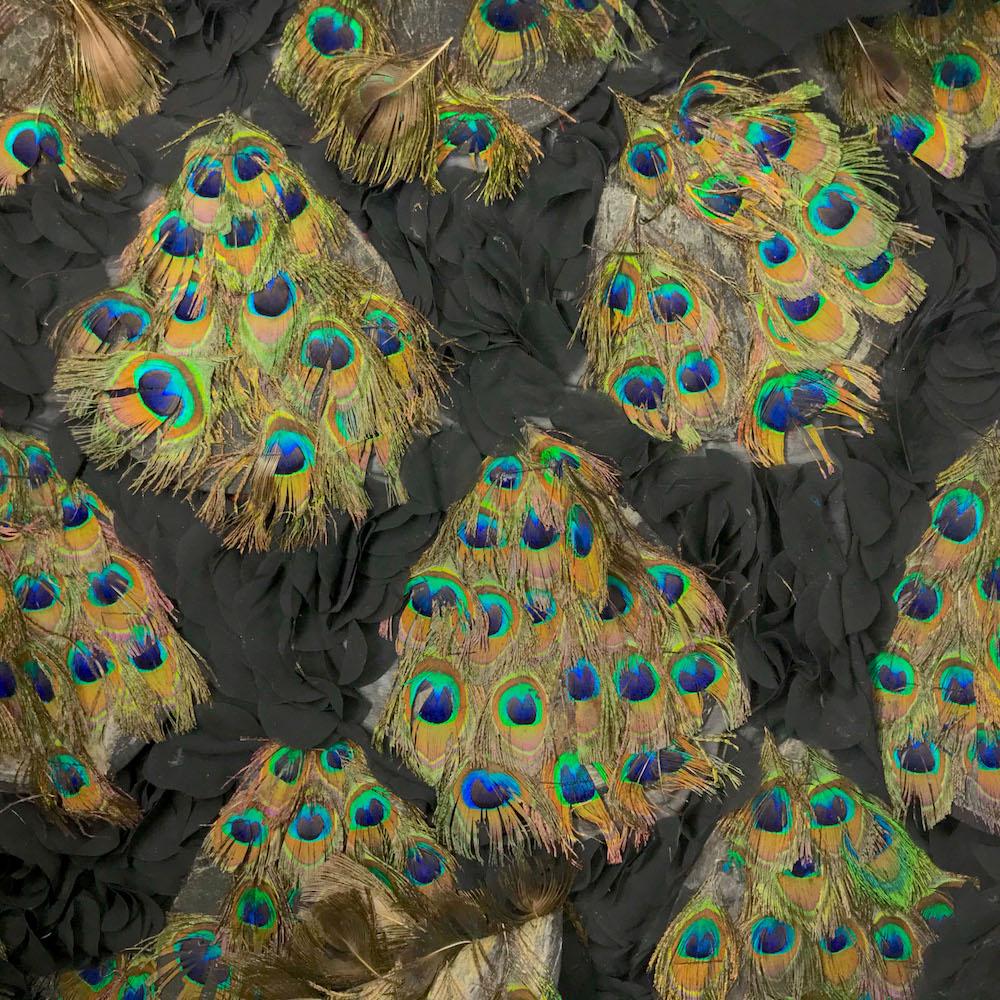 Peacock Feather Patches On Georgette SV576014 Black 2