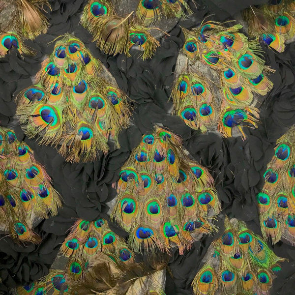 Peacock Feather Patches On Georgette SV576014 Black 1