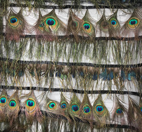 Peacock Feather Trim Layers on Poly Mesh