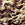 Military Camo Print Cotton