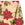 Poinsettia Print Broadcloth