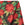 Holiday Floral Print Broadcloth